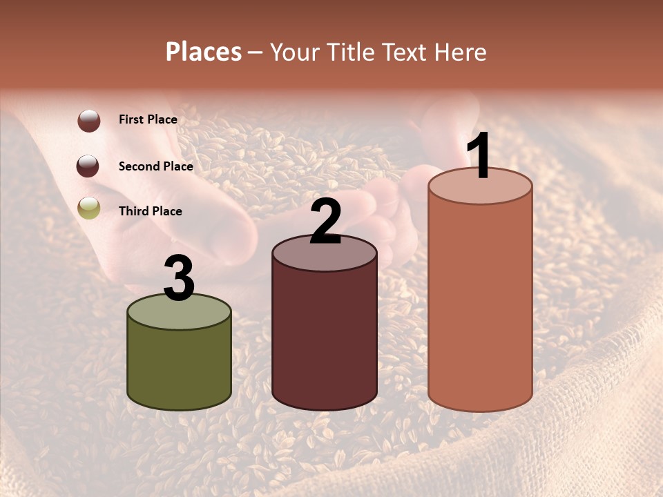 People Li Ten Human PowerPoint Template