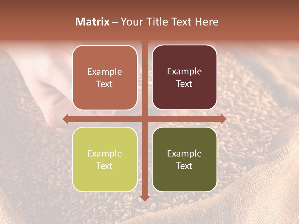 People Li Ten Human PowerPoint Template