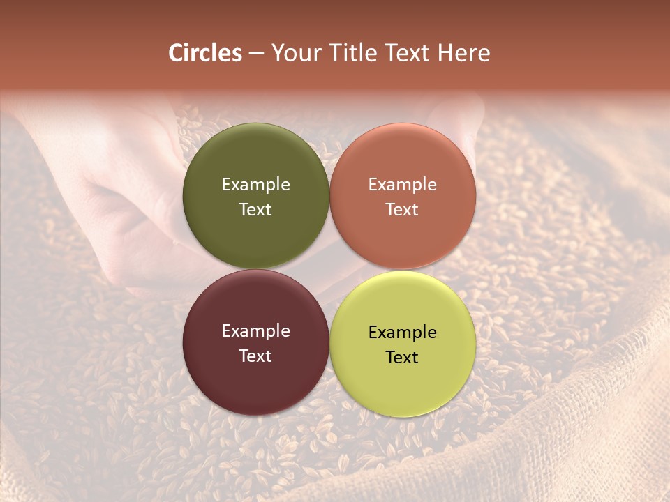 People Li Ten Human PowerPoint Template