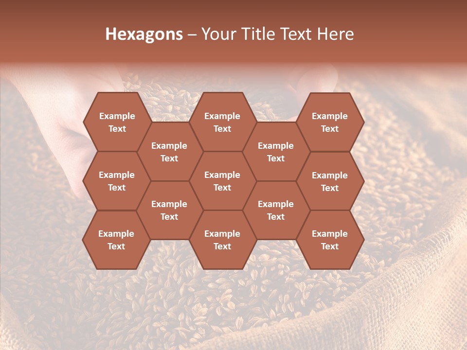 People Li Ten Human PowerPoint Template