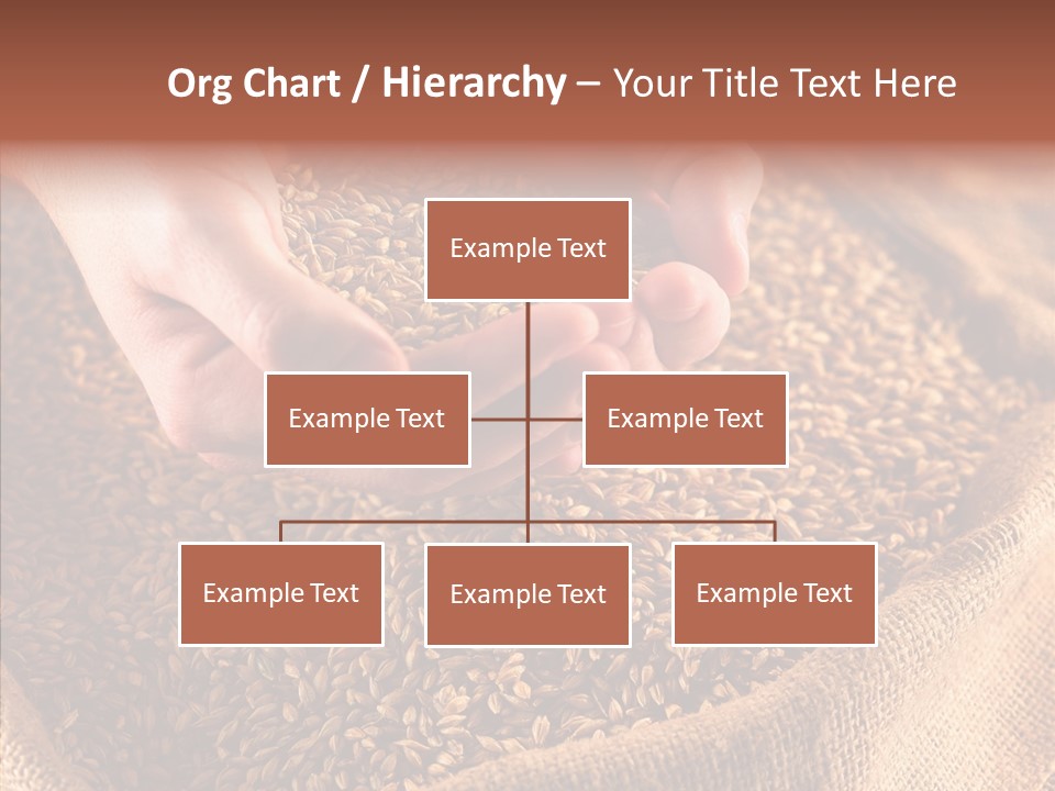 People Li Ten Human PowerPoint Template