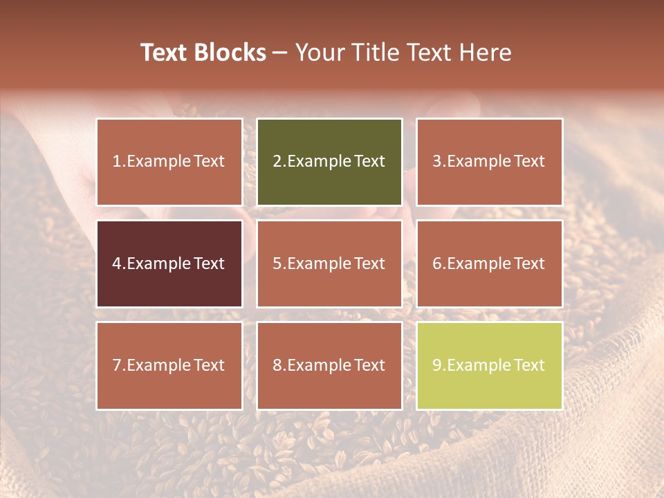 People Li Ten Human PowerPoint Template