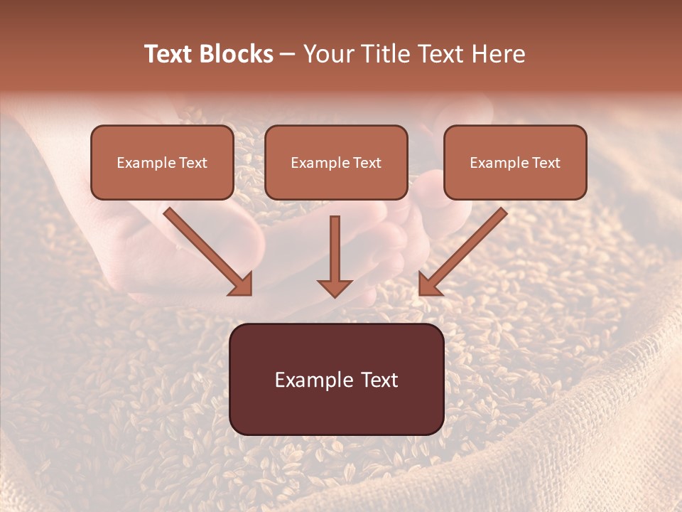 People Li Ten Human PowerPoint Template