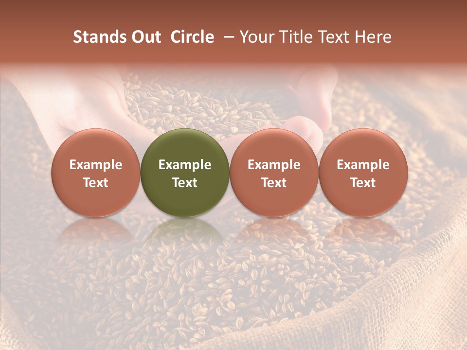 People Li Ten Human PowerPoint Template