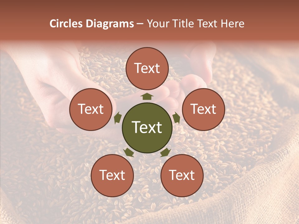 People Li Ten Human PowerPoint Template