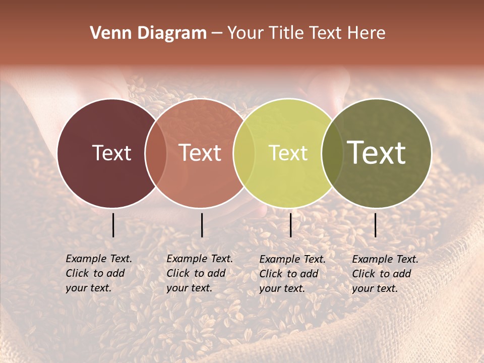 People Li Ten Human PowerPoint Template