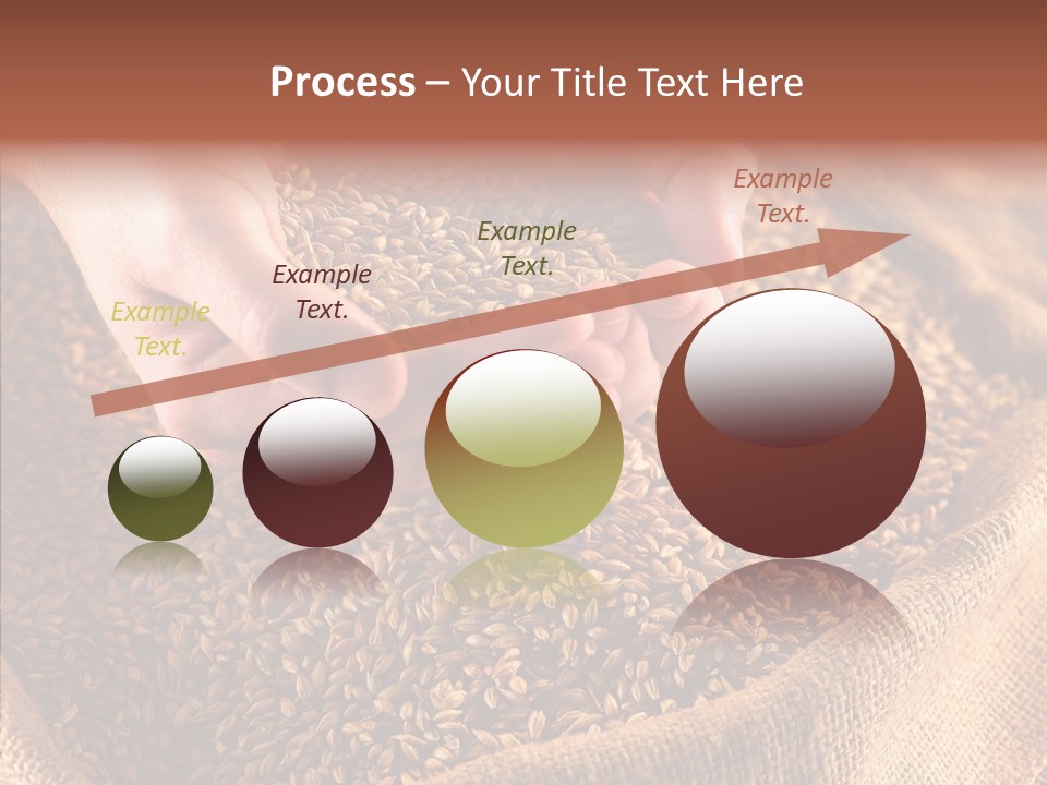 People Li Ten Human PowerPoint Template