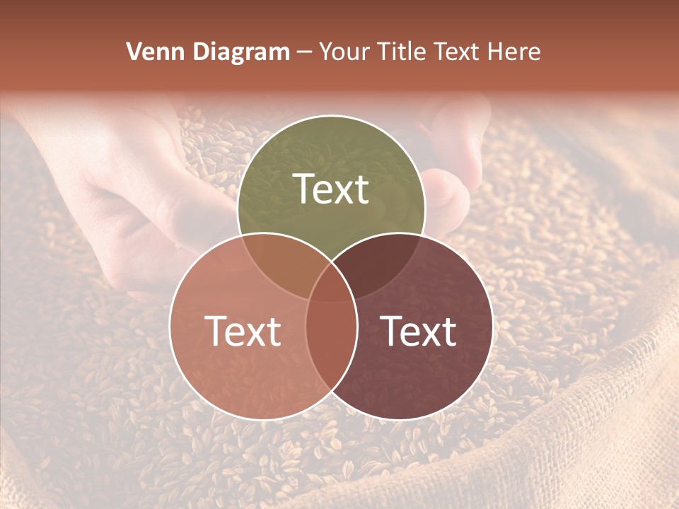 People Li Ten Human PowerPoint Template