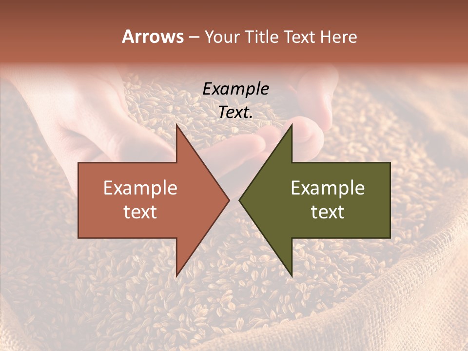 People Li Ten Human PowerPoint Template