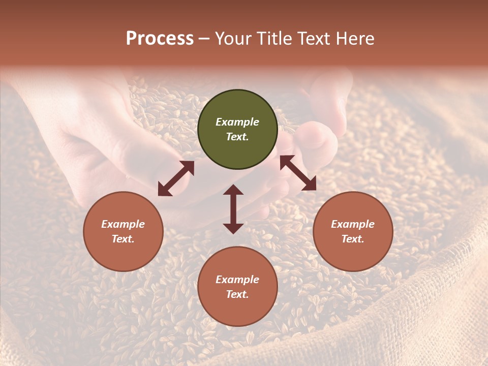 People Li Ten Human PowerPoint Template