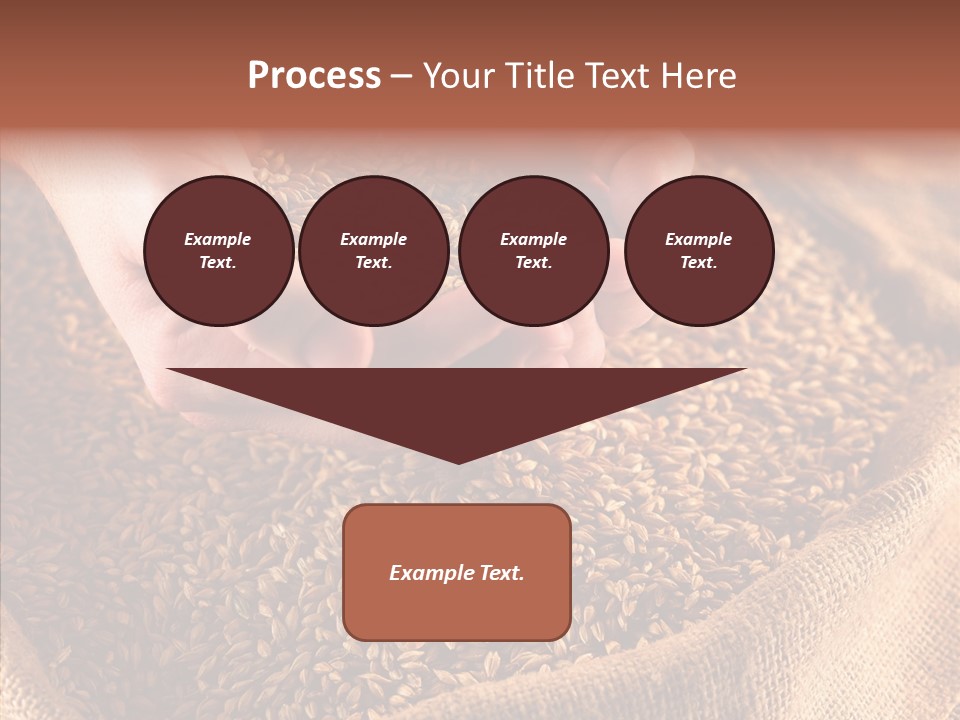 People Li Ten Human PowerPoint Template