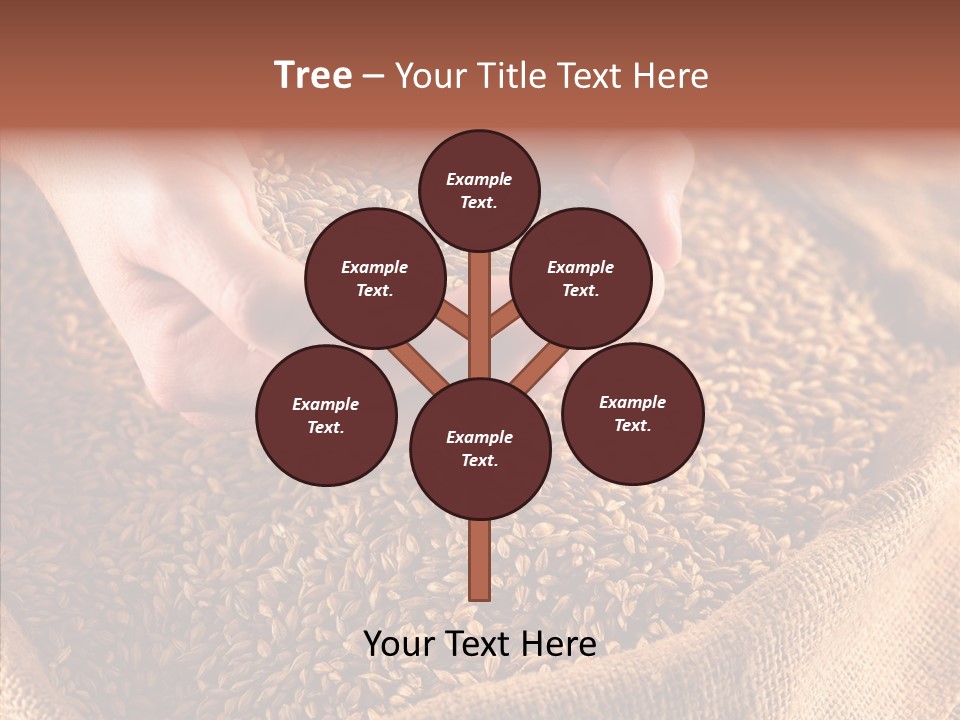 People Li Ten Human PowerPoint Template