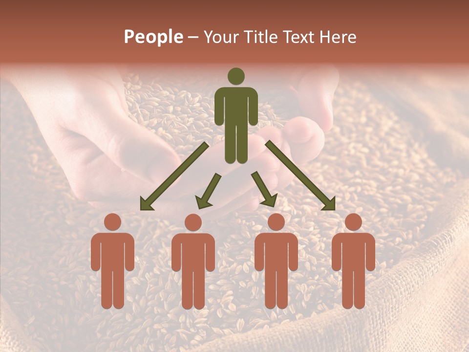 People Li Ten Human PowerPoint Template