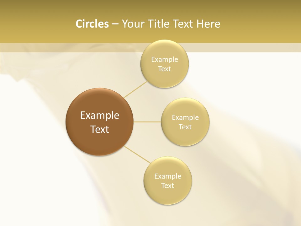 Celebration Bottle Leisure PowerPoint Template