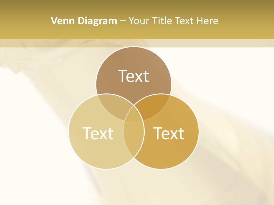 Celebration Bottle Leisure PowerPoint Template