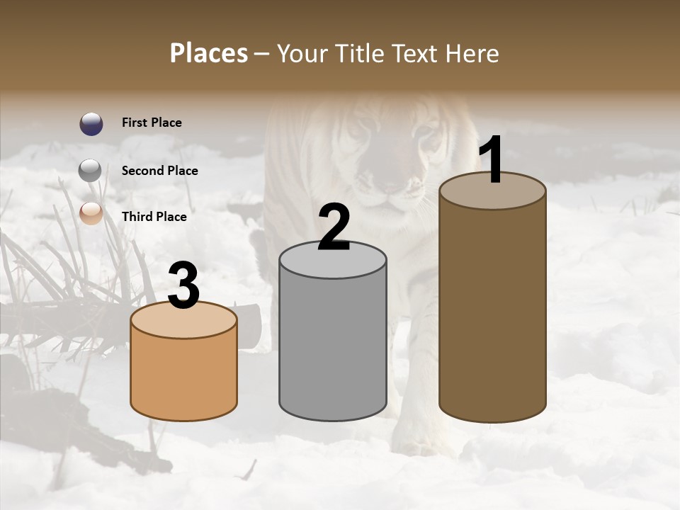 Ferocious Mammal Fierce PowerPoint Template