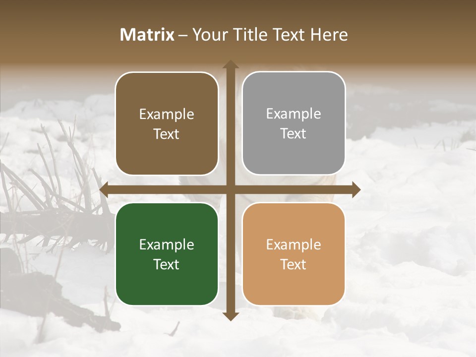 Ferocious Mammal Fierce PowerPoint Template