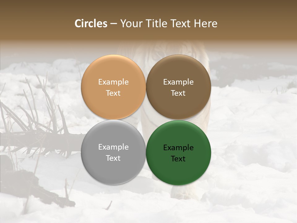 Ferocious Mammal Fierce PowerPoint Template