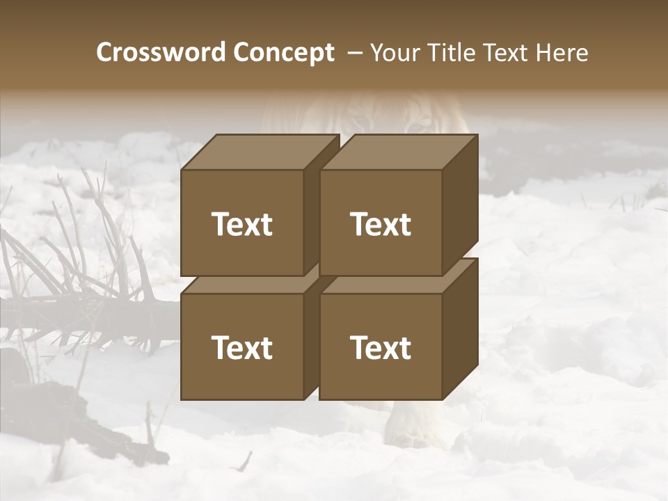 Ferocious Mammal Fierce PowerPoint Template