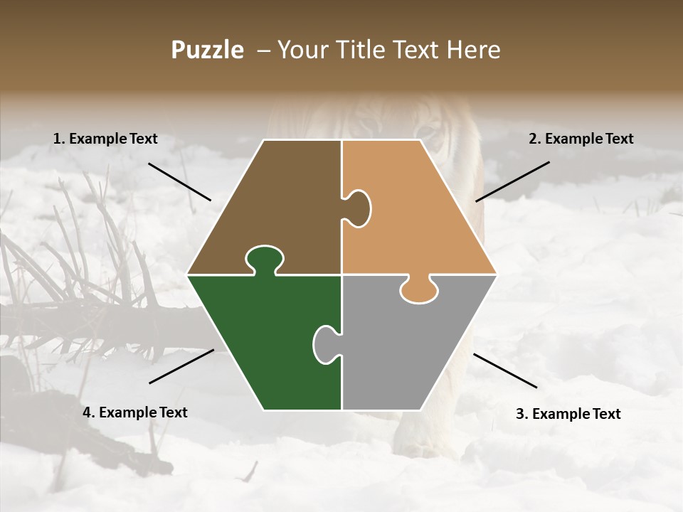 Ferocious Mammal Fierce PowerPoint Template