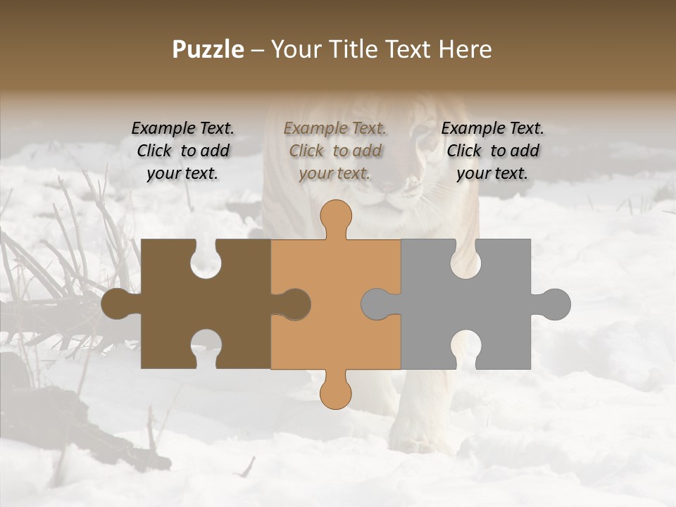 Ferocious Mammal Fierce PowerPoint Template