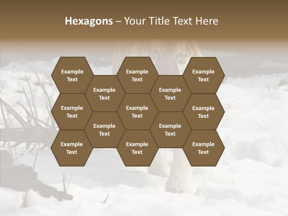 Ferocious Mammal Fierce PowerPoint Template