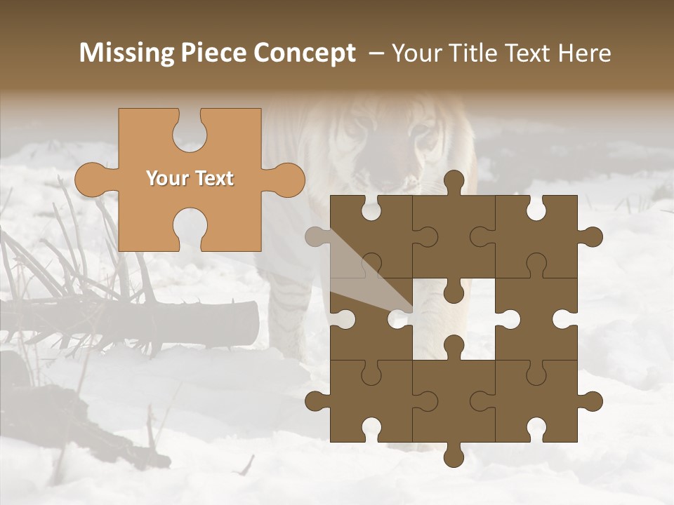 Ferocious Mammal Fierce PowerPoint Template