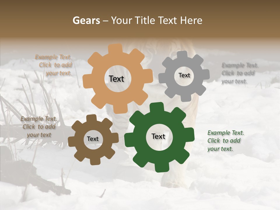 Ferocious Mammal Fierce PowerPoint Template