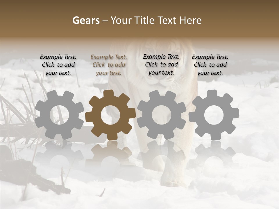 Ferocious Mammal Fierce PowerPoint Template
