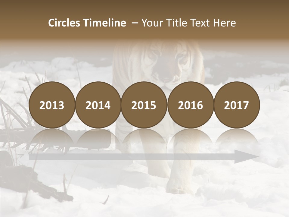 Ferocious Mammal Fierce PowerPoint Template