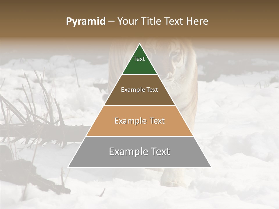 Ferocious Mammal Fierce PowerPoint Template