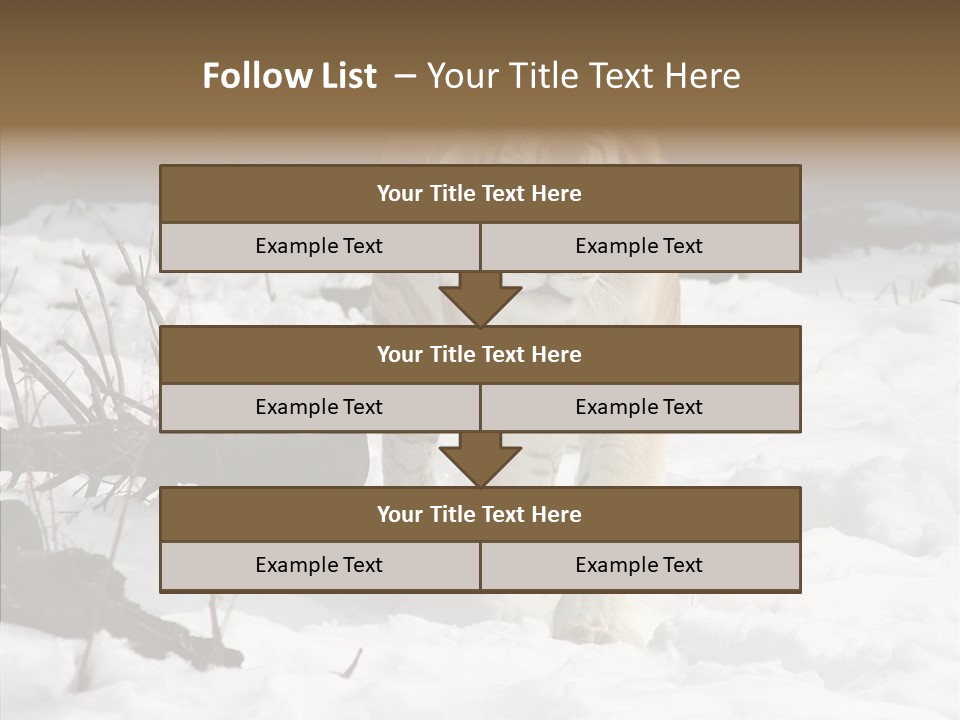Ferocious Mammal Fierce PowerPoint Template