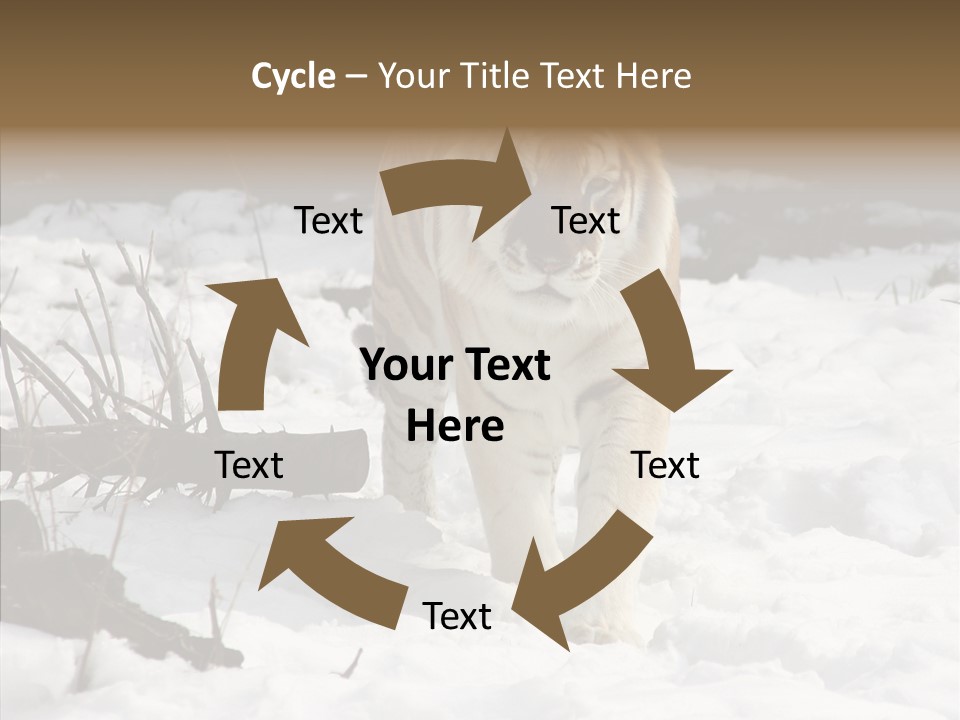 Ferocious Mammal Fierce PowerPoint Template