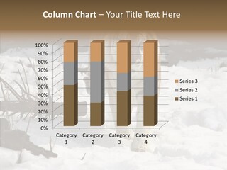 Ferocious Mammal Fierce PowerPoint Template