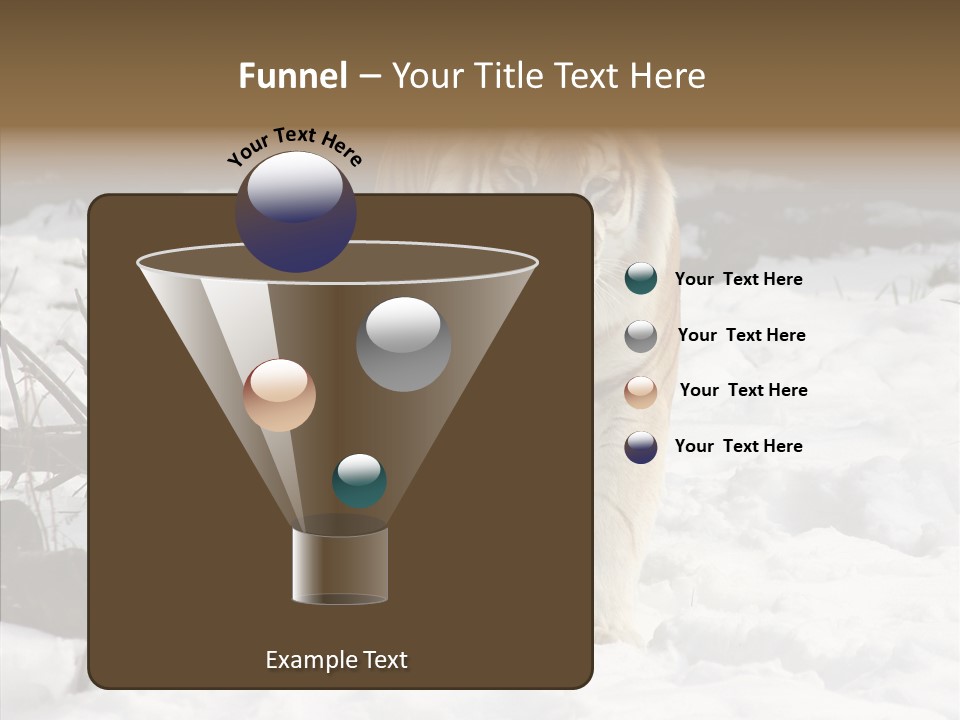 Ferocious Mammal Fierce PowerPoint Template