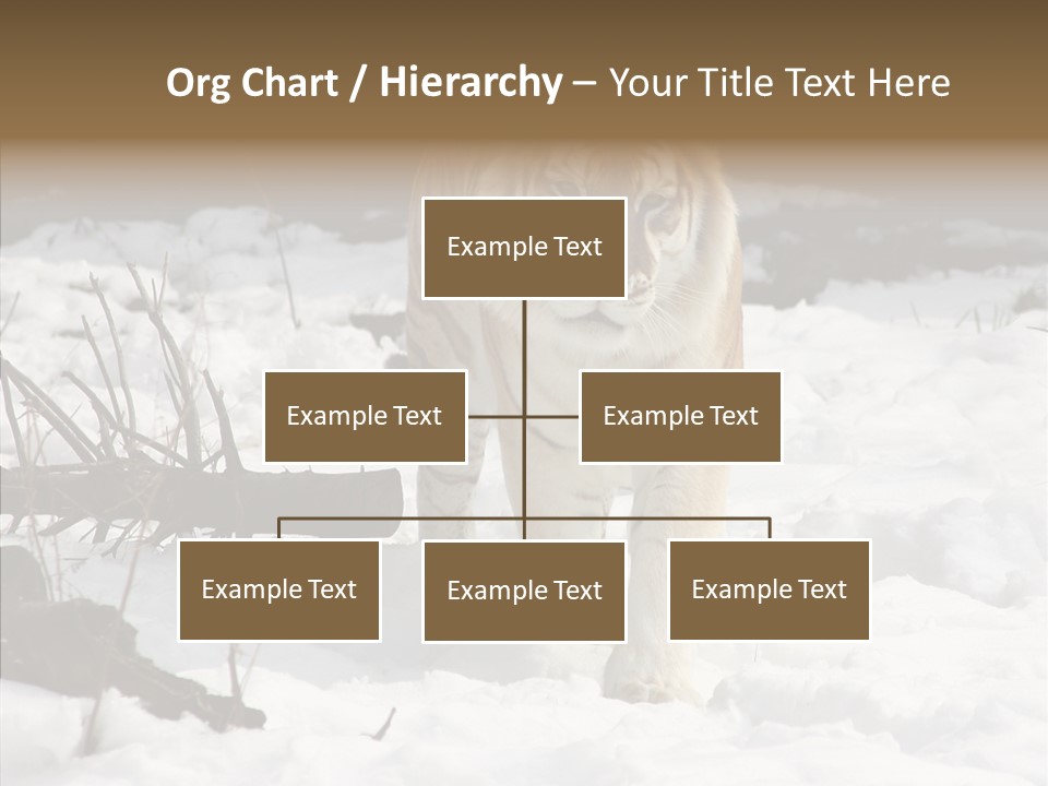 Ferocious Mammal Fierce PowerPoint Template