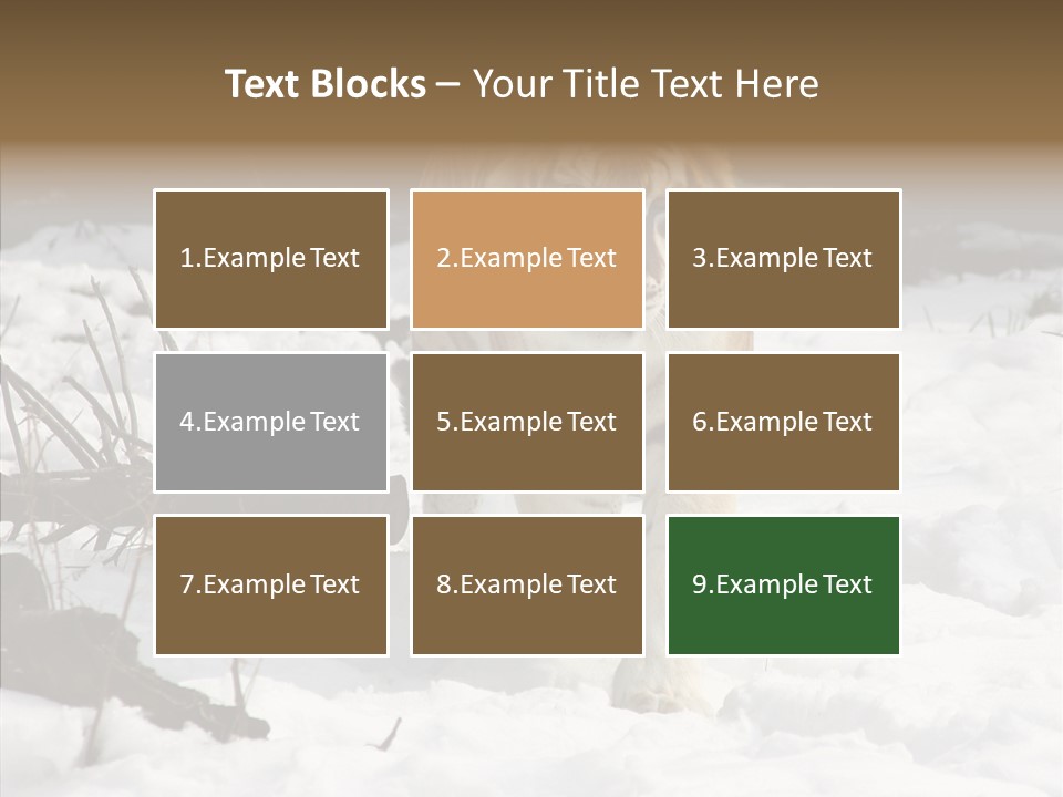 Ferocious Mammal Fierce PowerPoint Template