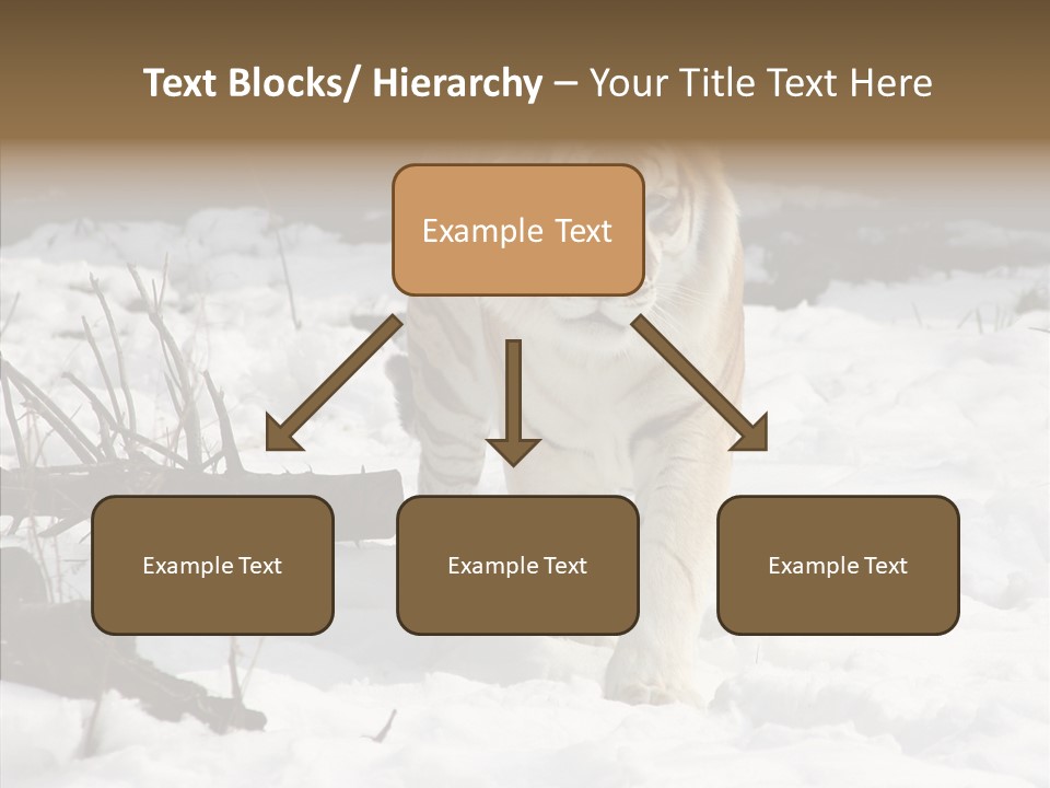 Ferocious Mammal Fierce PowerPoint Template