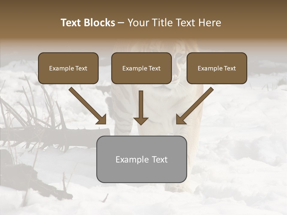 Ferocious Mammal Fierce PowerPoint Template