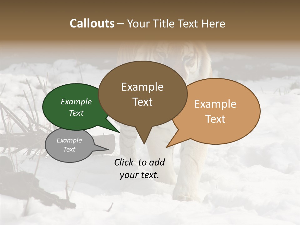 Ferocious Mammal Fierce PowerPoint Template