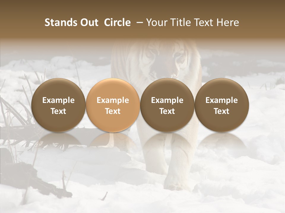 Ferocious Mammal Fierce PowerPoint Template