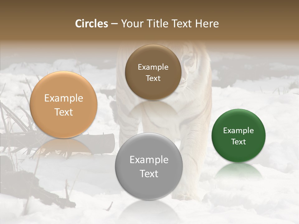 Ferocious Mammal Fierce PowerPoint Template