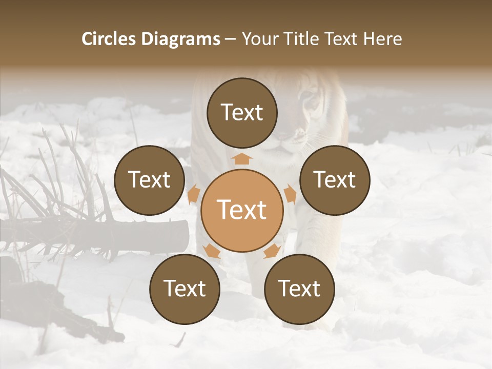 Ferocious Mammal Fierce PowerPoint Template