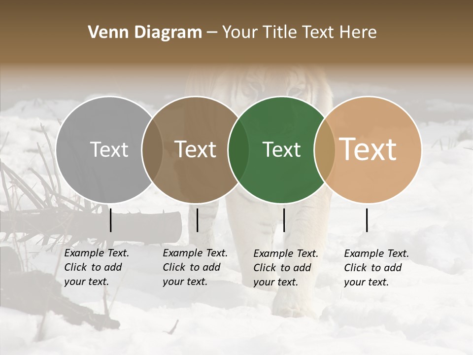 Ferocious Mammal Fierce PowerPoint Template