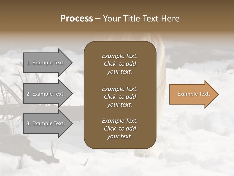 Ferocious Mammal Fierce PowerPoint Template
