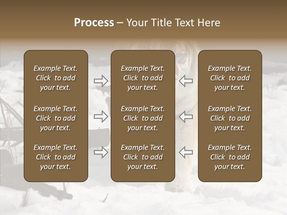 Ferocious Mammal Fierce PowerPoint Template