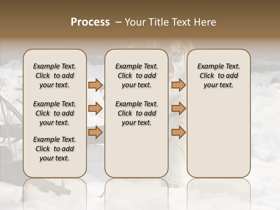 Ferocious Mammal Fierce PowerPoint Template