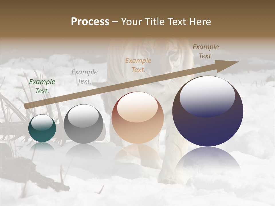 Ferocious Mammal Fierce PowerPoint Template