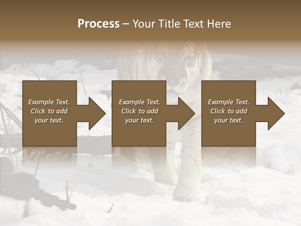 Ferocious Mammal Fierce PowerPoint Template