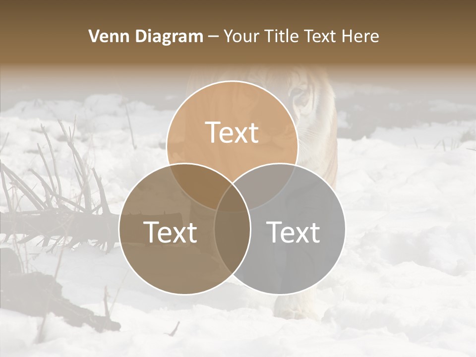 Ferocious Mammal Fierce PowerPoint Template